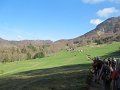IMG_7748