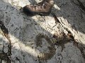 IMG_7751