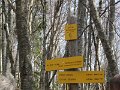 IMG_7757