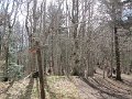 IMG_7761
