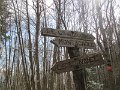 IMG_7762