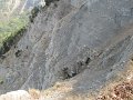 IMG_7772