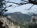 IMG_7774