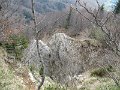 IMG_7782