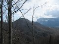 IMG_7783
