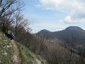 IMG_7791