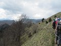 IMG_7793