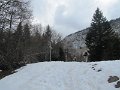 IMG_7800