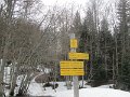 IMG_7801
