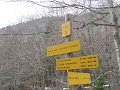 IMG_7803