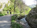 IMG_7966