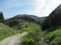 IMG_7967