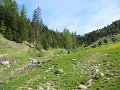IMG_7970
