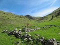 IMG_7973
