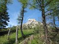 IMG_7974