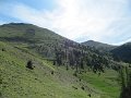 IMG_7976