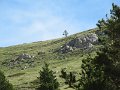 IMG_7980