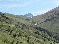 IMG_7982