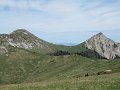 IMG_7988