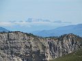 IMG_7991