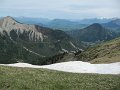 IMG_8000