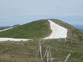 IMG_8008