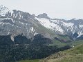 IMG_8010