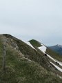 IMG_8019