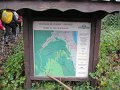 IMG_0599