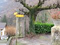IMG_0617