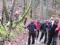 IMG_1104