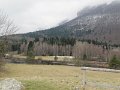 IMG_1108