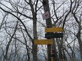 IMG_1110