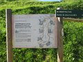 IMG_1474