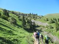 IMG_1479