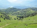 IMG_1487