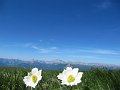 IMG_1489