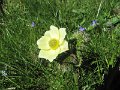 IMG_1497