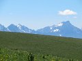 IMG_1513
