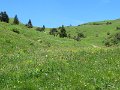 IMG_1523