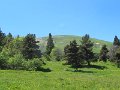 IMG_1529