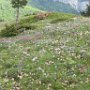avant de descendre sur le col de menée