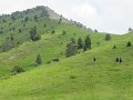 IMG_1829