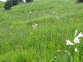 IMG_1830