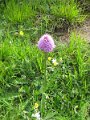 IMG_1831