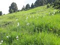 IMG_1832