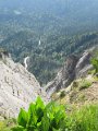 IMG_1834
