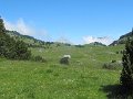 IMG_1848