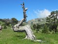 IMG_1849