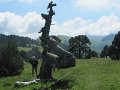 IMG_1852